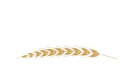 castano